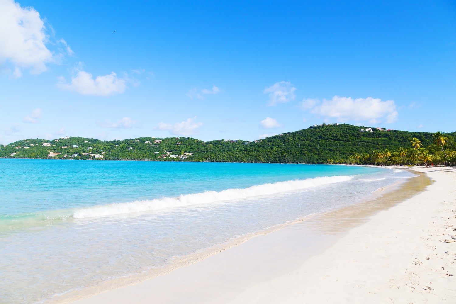 a sandy beach next to a body of water