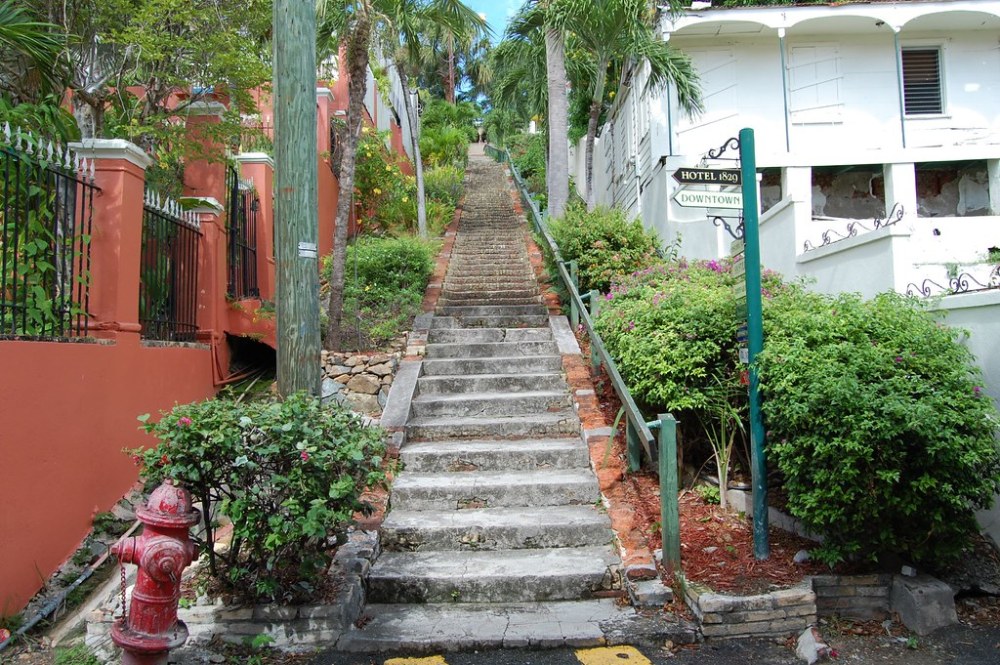 a garden in front of a building