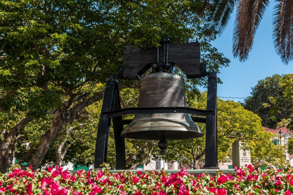a christmas tree in a park
