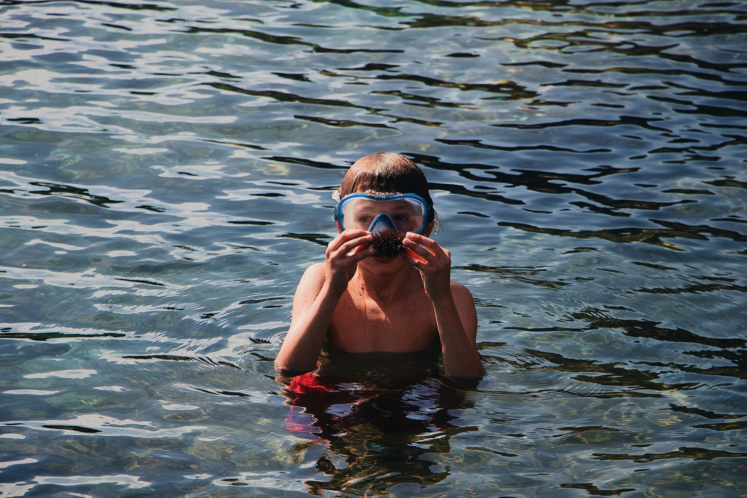 Child in water wearing snorkel mask, holding a sea urchin.