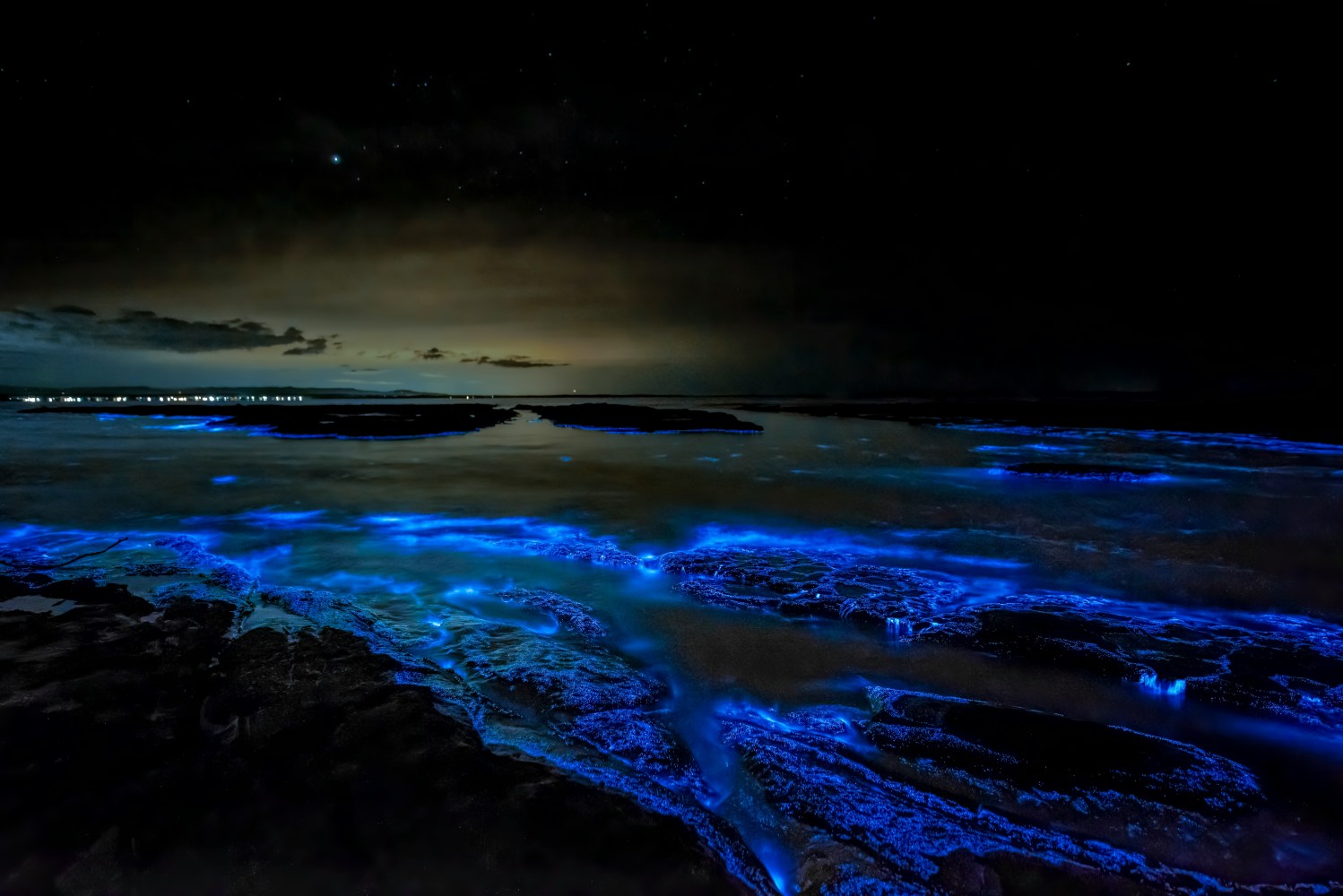 Bioluminescent blue waves on a dark beach under a starry sky.